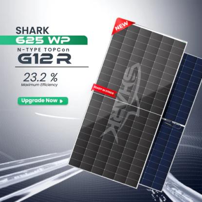 Loom Solar SHARK 625W Dual Glass Panel (Pack of 36)
