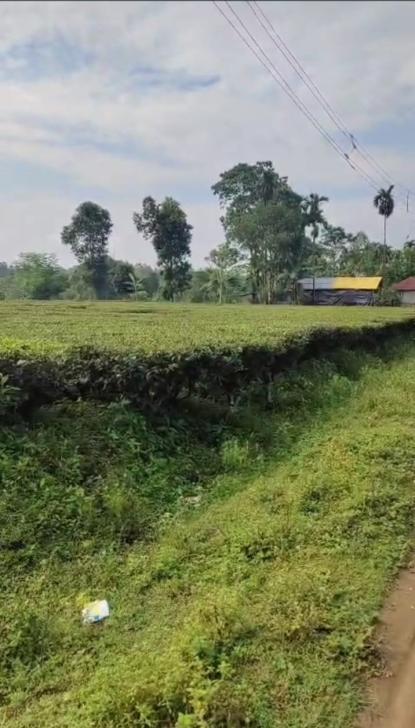 Land only For Sale in Uttar Kalamati, West Bengal