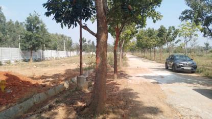 Land only For Sale in Gadenahalli, Karnataka