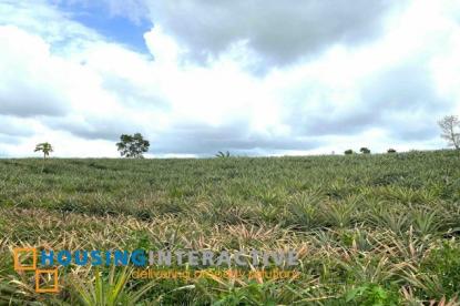 Land only For Sale in Cavite