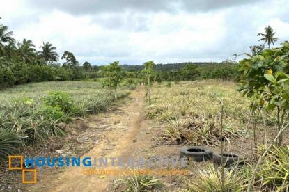 Land only For Sale in Cavite