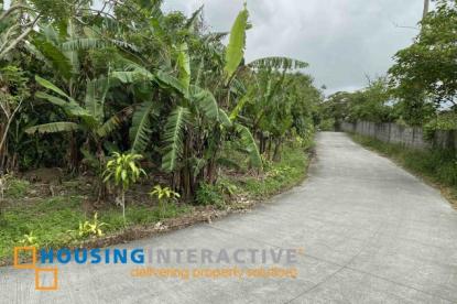 Land only For Sale in Cavite