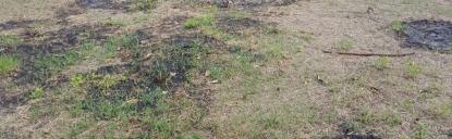 Land only For Sale in Cavite