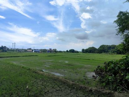 Land only For Sale in Tanza - Trece Martires Road, Tanza