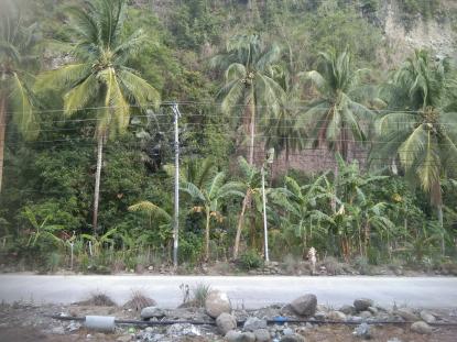 Residential and Farm Land in Negros Oriental