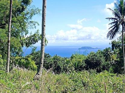 Land only For Sale in Dauin, Central Visayas