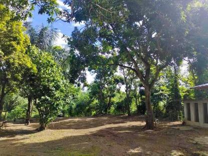 Land only For Sale in Alfonso, Calabarzon