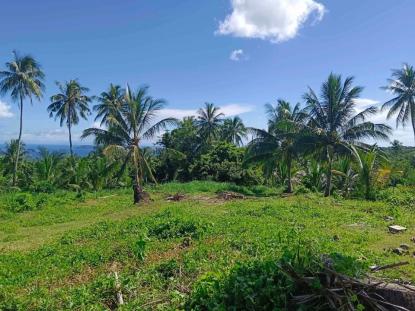Land only For Sale in Dauin, Central Visayas