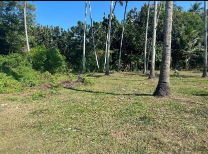 Land only For Sale in Dumaguete City, Central Visayas