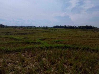 Land only For Sale in Bago, Western Visayas
