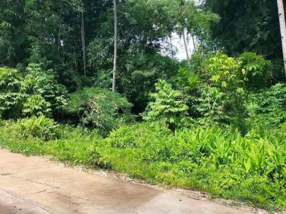 Land only For Sale in Dumaguete City, Central Visayas